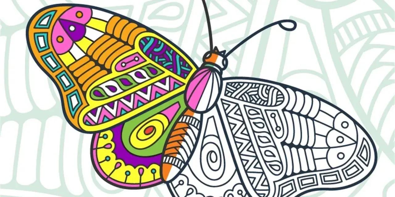 Adult Colouring Workshop in Whangārei