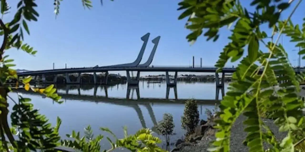 Whangarei Parkrun: Weekly 5K Fun Run & Walk