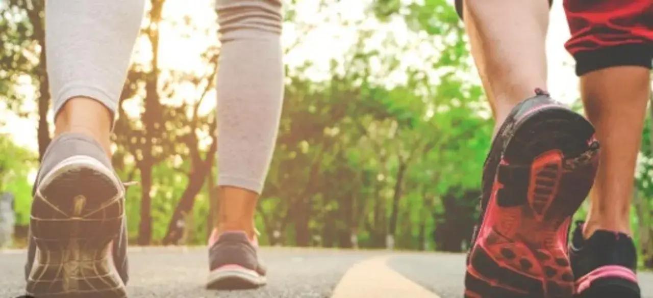 Tikipunga Social Walking Group | Whangārei