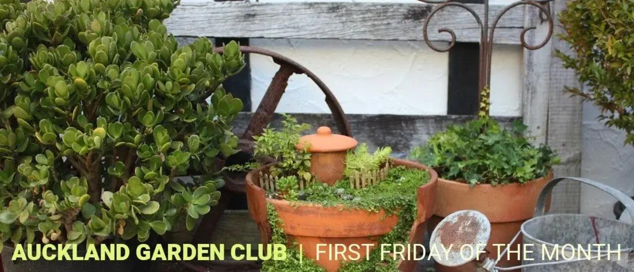 Auckland Garden Club - Western Springs Meetup