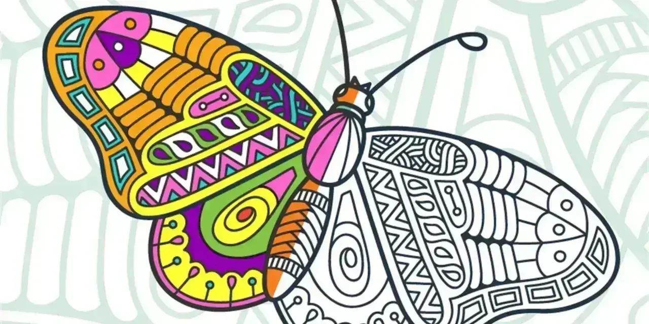 Adult Colouring Workshop in Whangārei