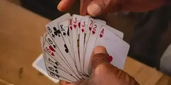 The Paihia Bridge Club offers a delightful evening option for seniors who enjoy strategic card games and good company