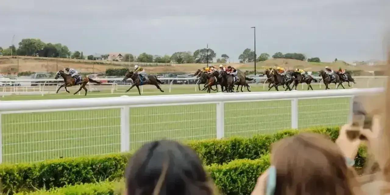 Autumn Racing Day in Remuera, Auckland