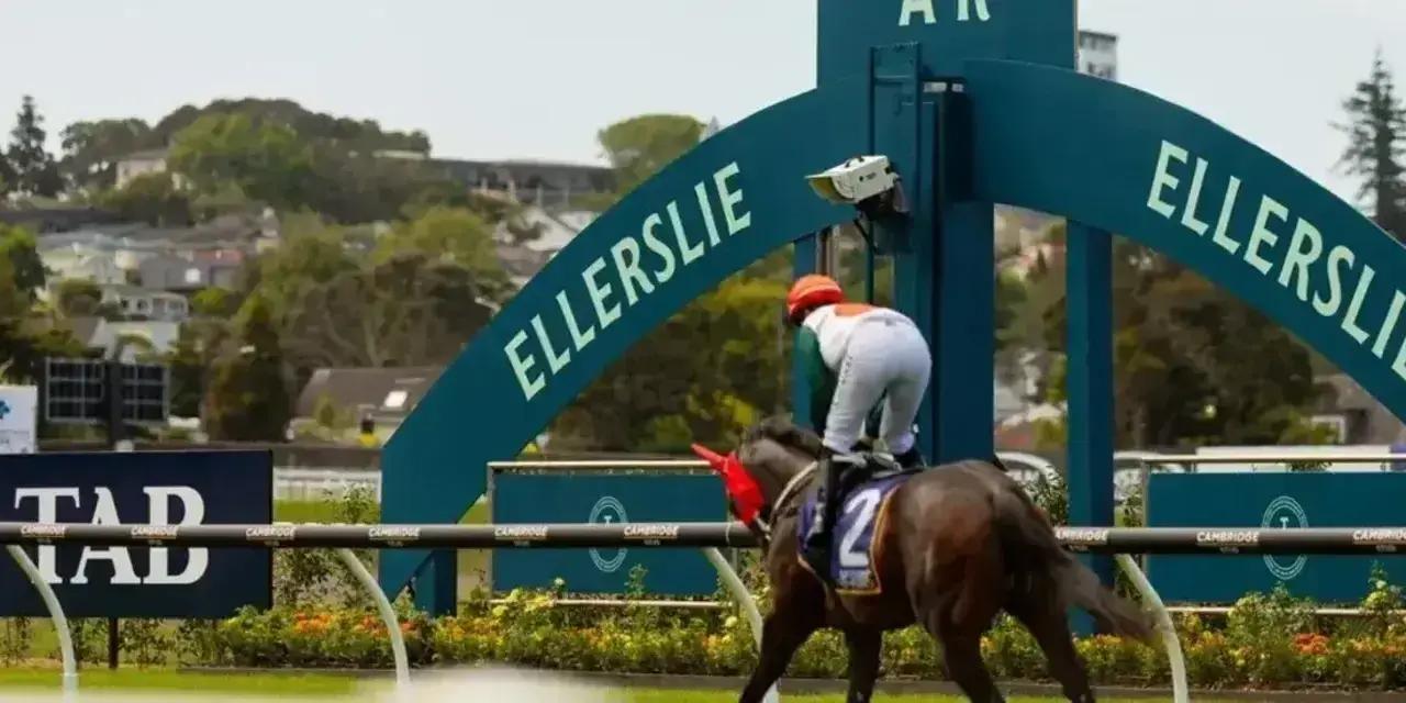 Auckland Races: May Raceday at Remuera Track
