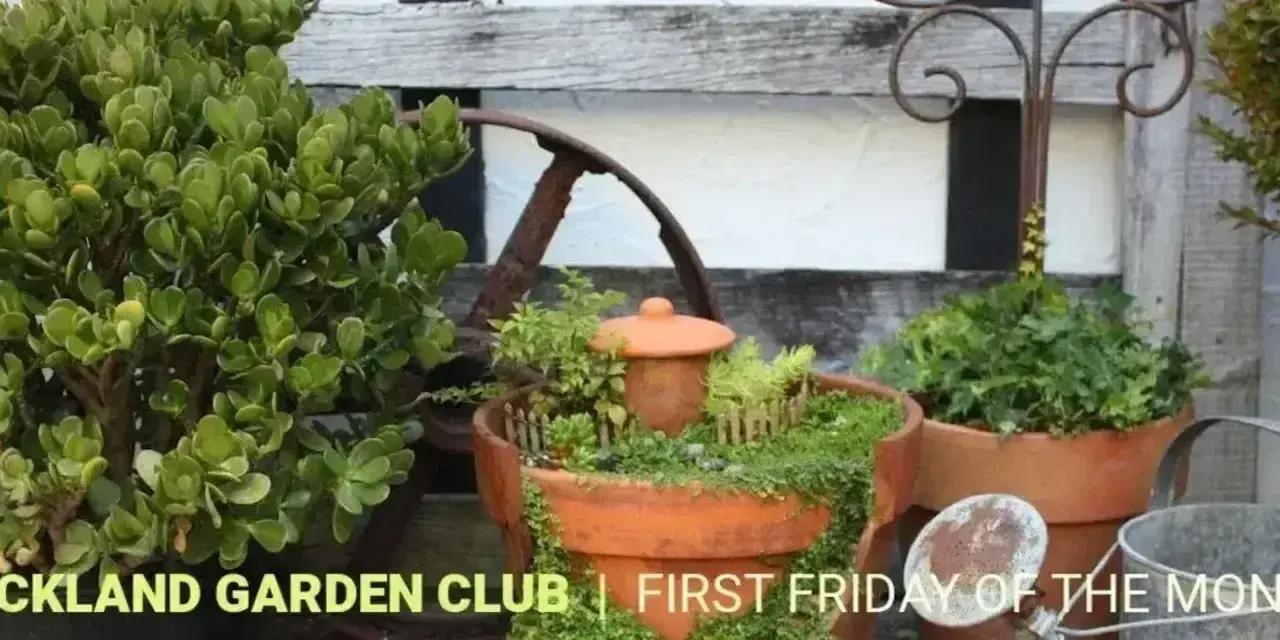 Auckland Garden Club - Western Springs Meetup