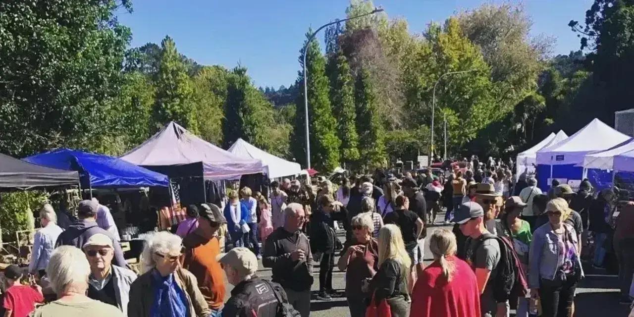 Discover Puhoi Village Market | Local Treasures