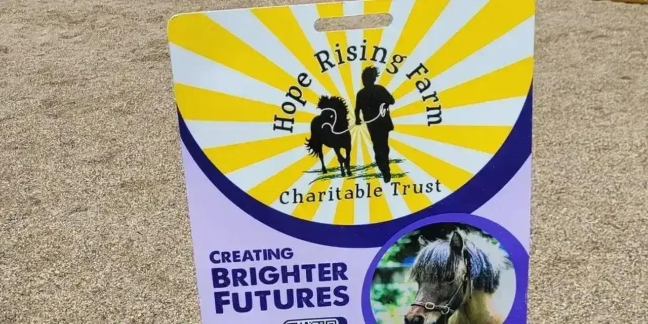 Women's Horse Experience - Hamilton Meetup
