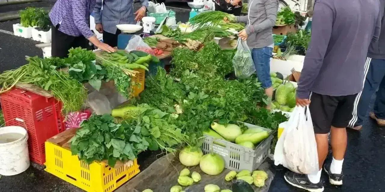 Auckland Eastern Market | Sunday Markets St Johns