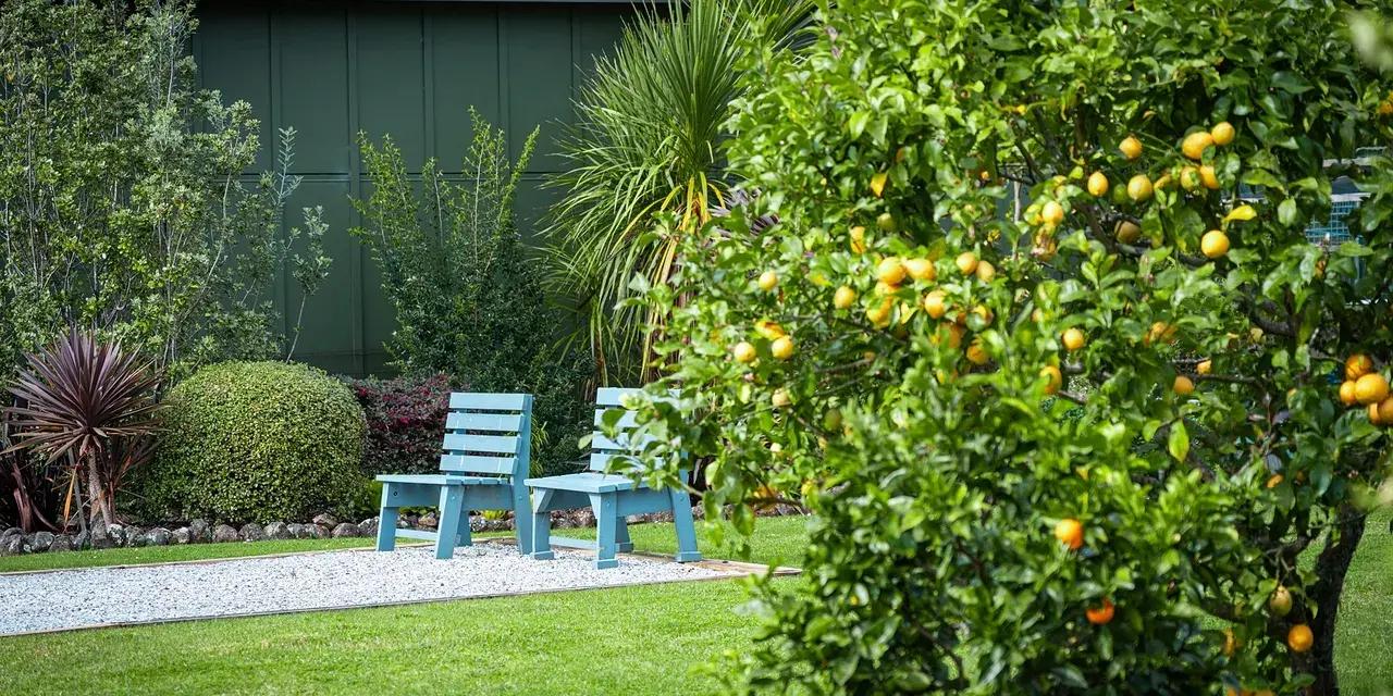 Garden & Pharmacy Pop-Up at Falls Estate | Free Event