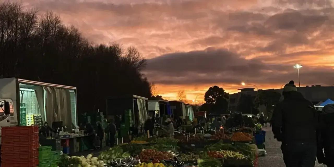 Riverbank Market Lower Hutt: Weekly Fresh Food Market