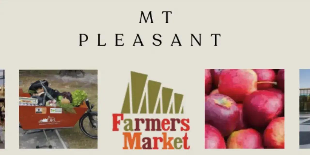 Mount Pleasant Farmers Market | Weekly in Christchurch