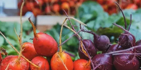 Every Saturday from 7:45am to 12pm, the Tauranga Farmers Market at Tauranga Primary School brings the best of local food to the community