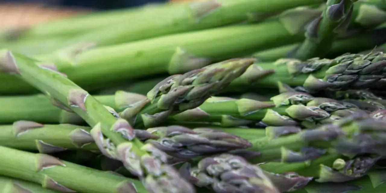 Darfield Market: Weekly Fresh Food & Craft Stalls