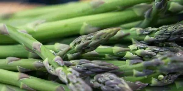 Step into the welcoming vibe of Darfield Market, a beloved Canterbury spot held every Saturday at 30 South Terrace, Darfield