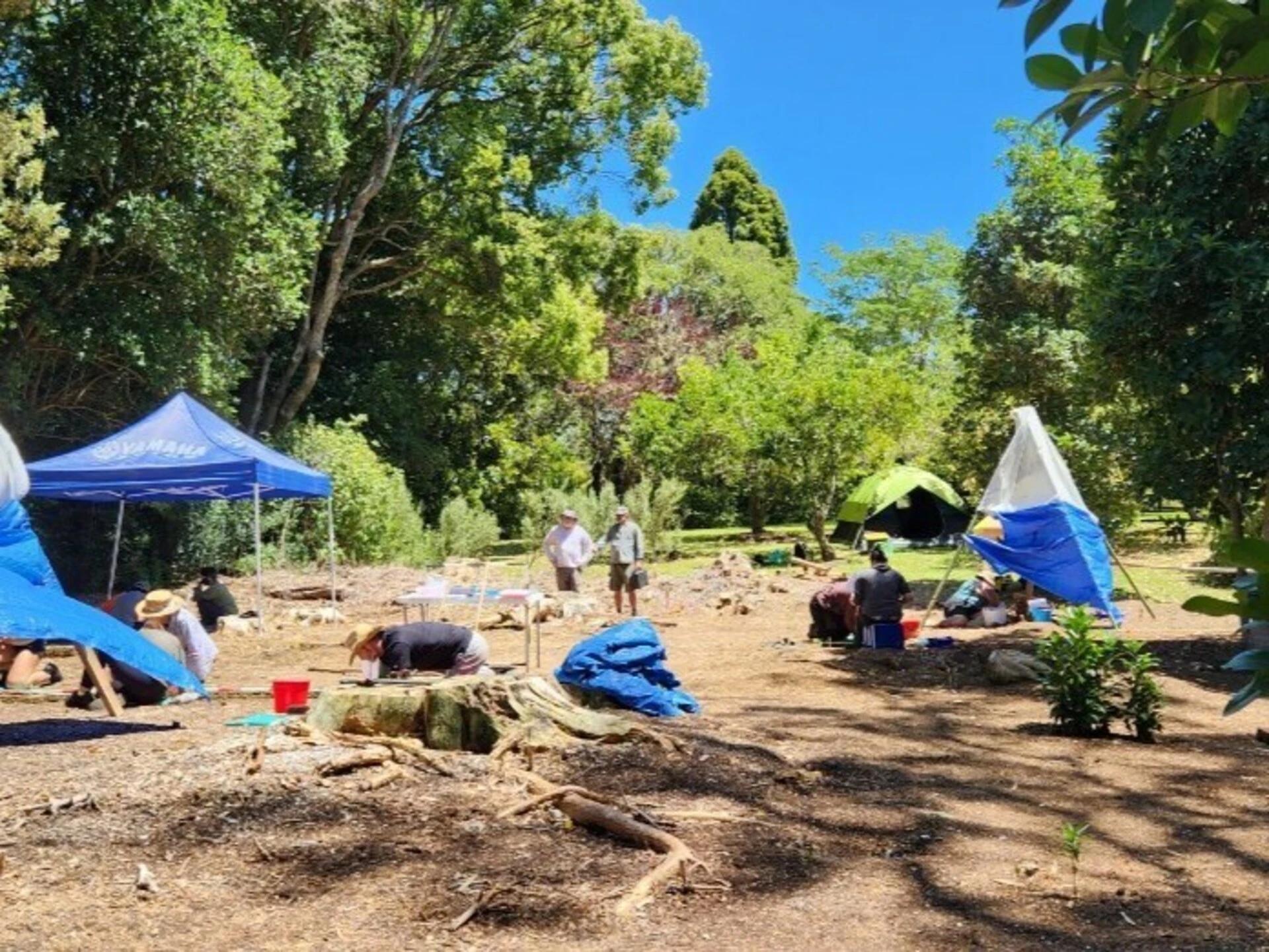 Excavation at the point, January 2025