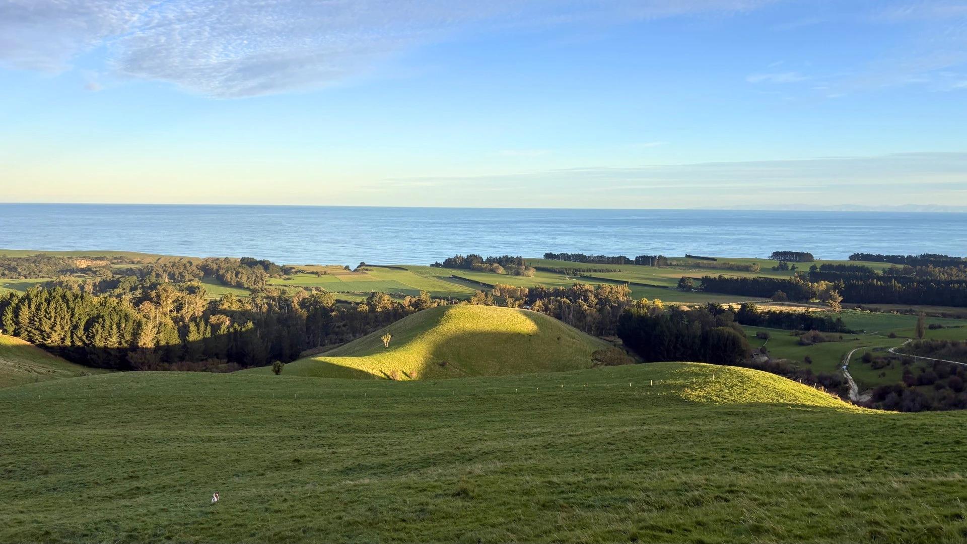 Breathtaking hill country and panoramic views towards Banks Peninsula and the Kaikōura Ranges