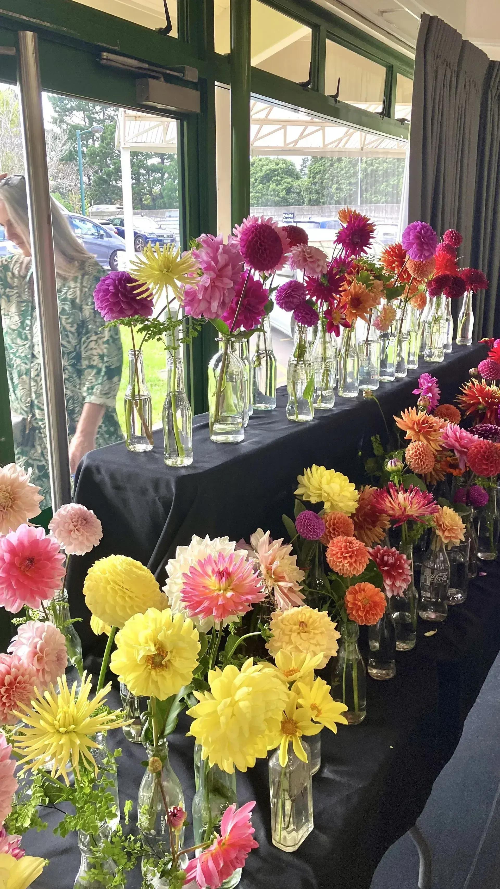 Auckland Chrysanthemum and Dahlia Society photo 1