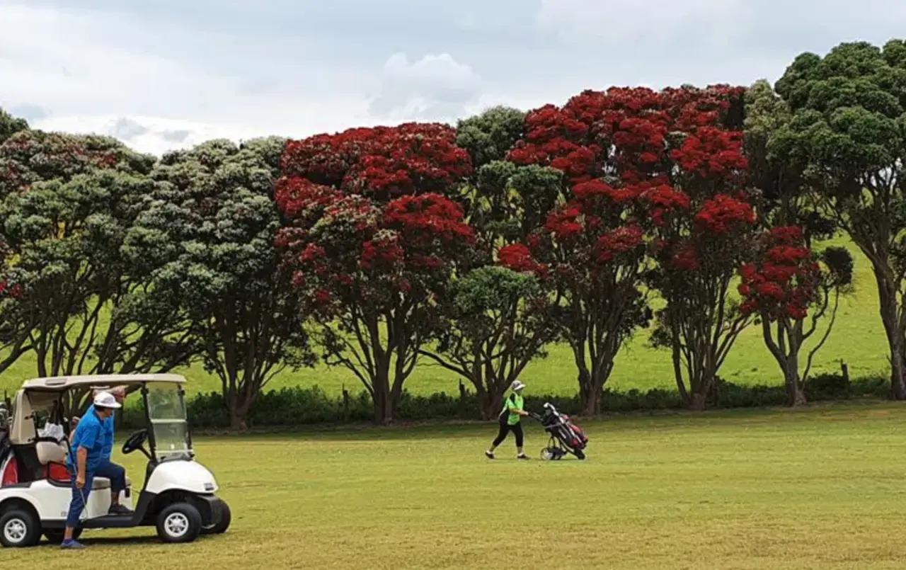Northern Wairoa Golf Club gallery image