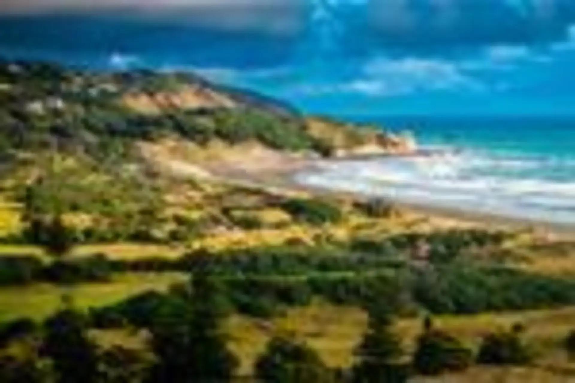 Muriwai-Golf-Links gallery image