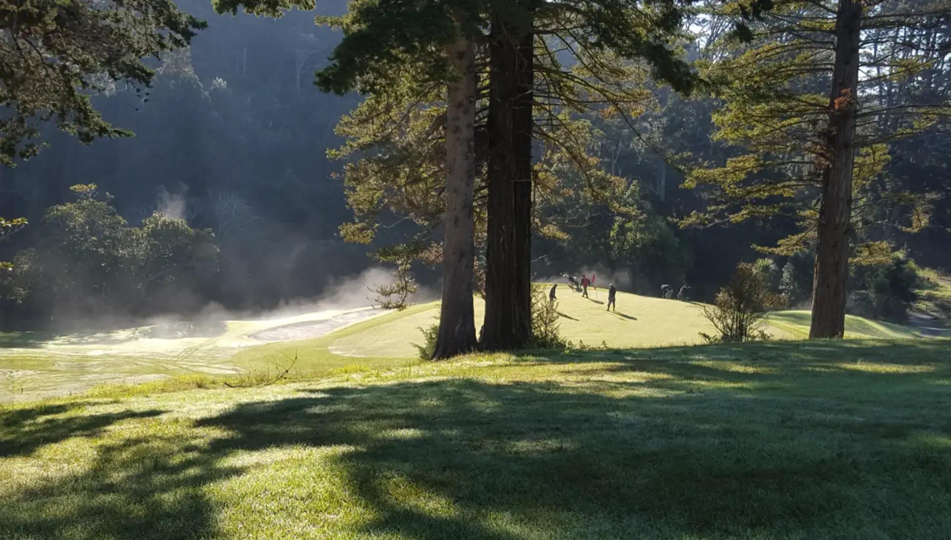 Redwood Park Golf Club gallery image