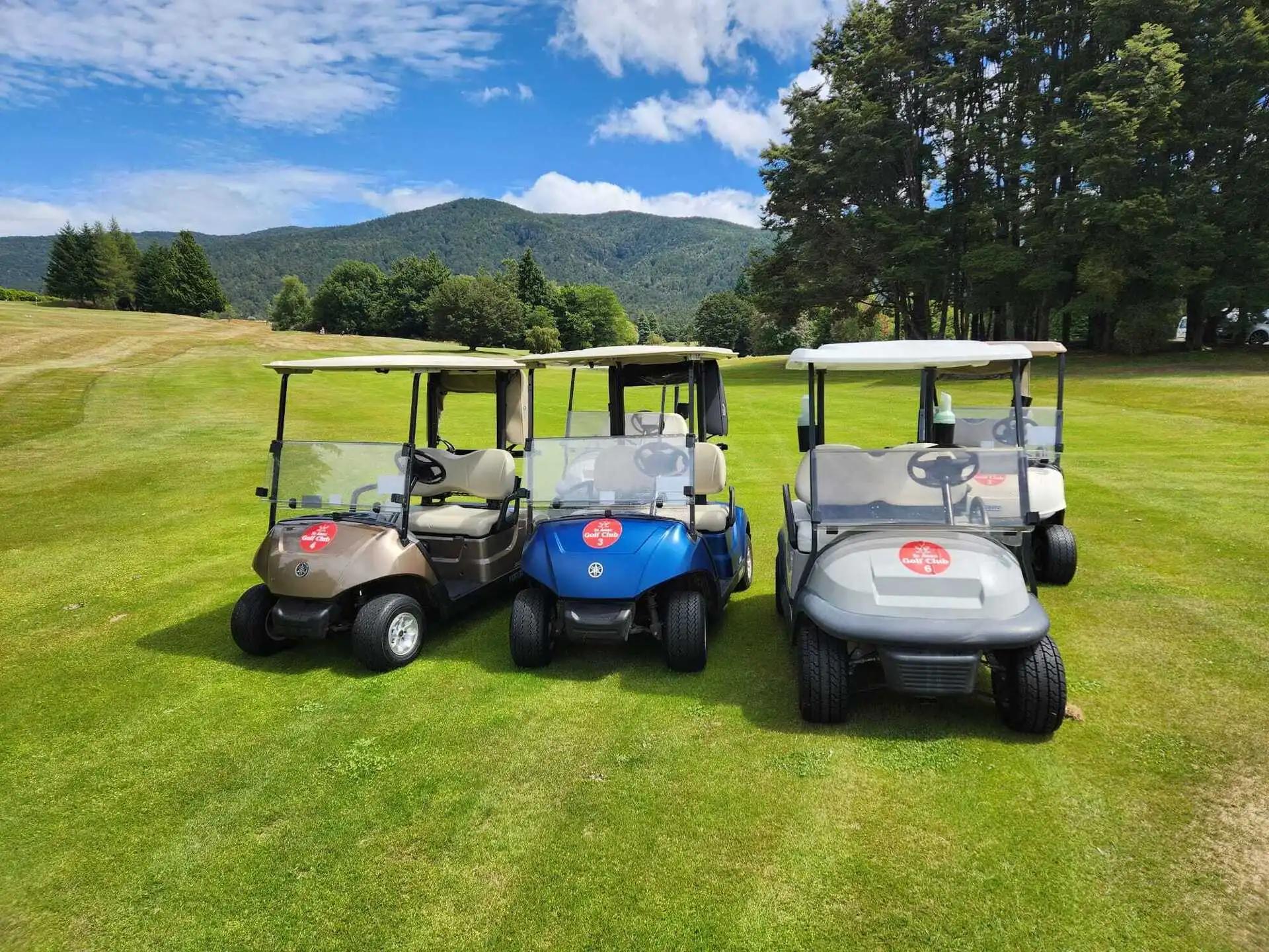Te Anau Golf Club Inc gallery image