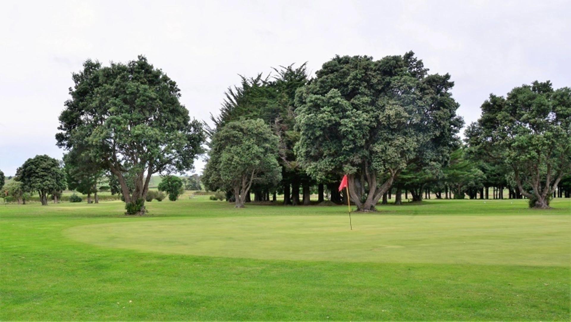 Manaia Golf Club gallery image