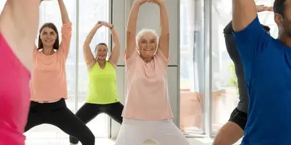 Senior Chair Yoga Classes in West Auckland - Gentle Exercise Options