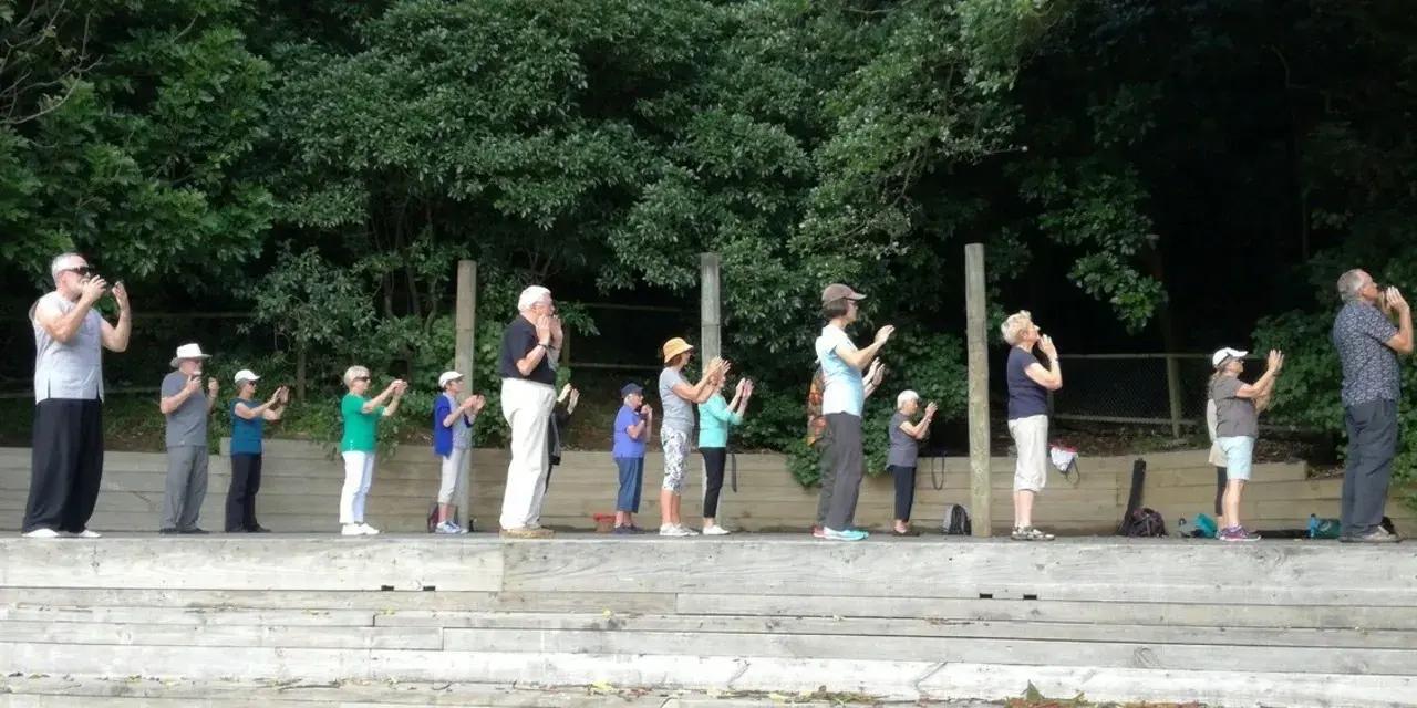 Gentle Tai Chi Classes at Johnsonville Community Hall