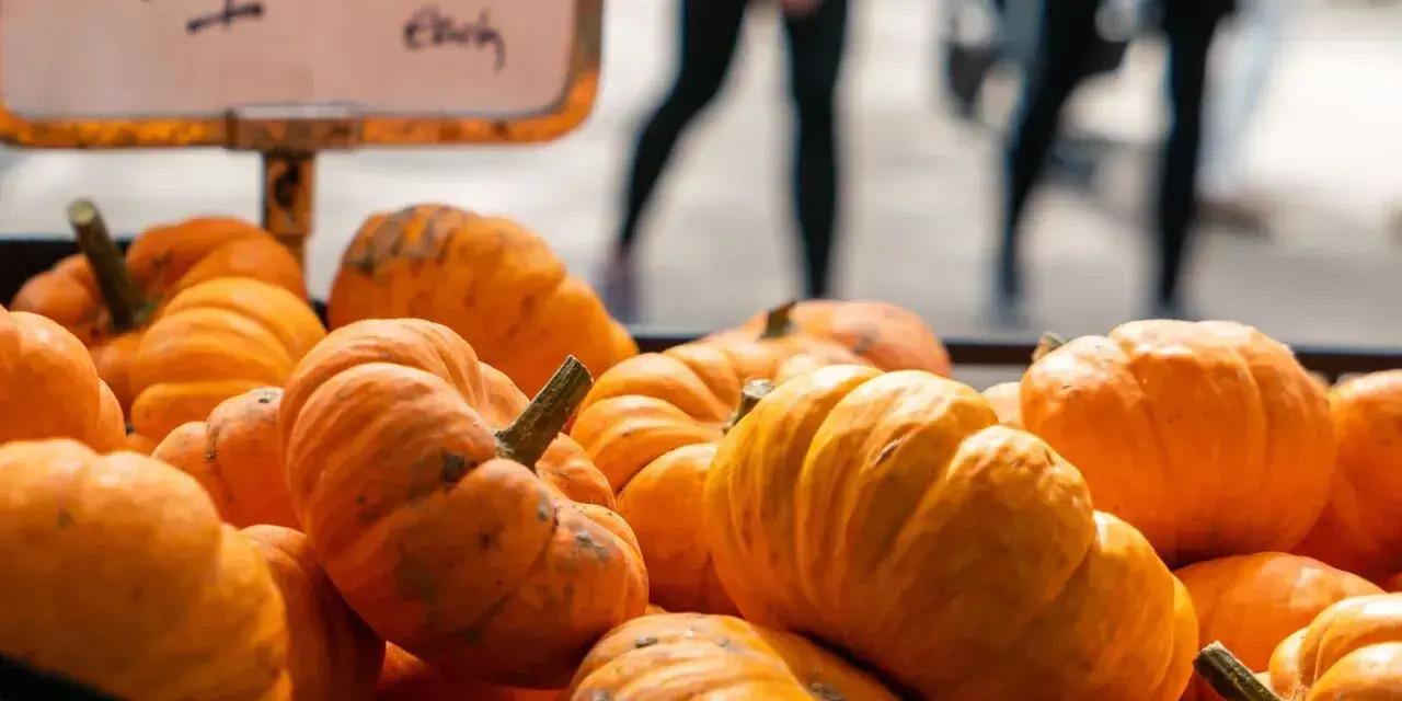 Otago Farmers Market | Dunedin Railway Station