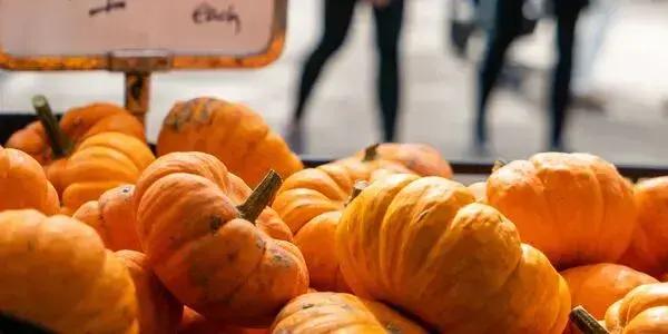 A must-visit for food lovers, the Otago Farmers Market at Dunedin Railway Station is a Saturday morning delight from 8:00am to 12:30pm