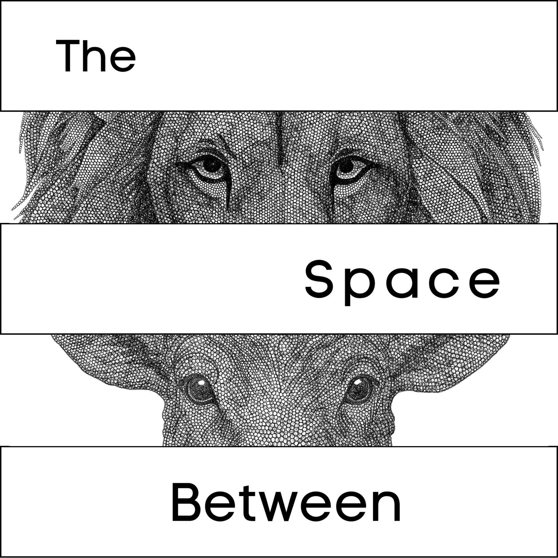 An evening of art, worship and reflection.