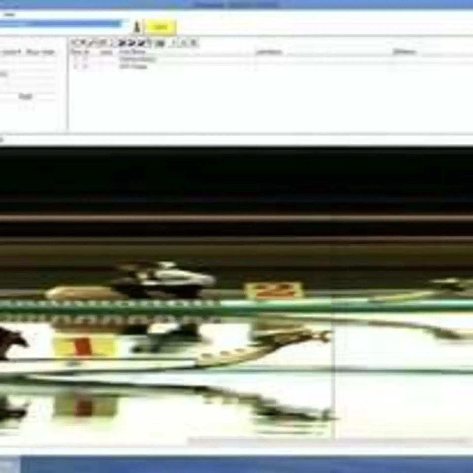 Marlborough Boat Dragon Boat photo 3