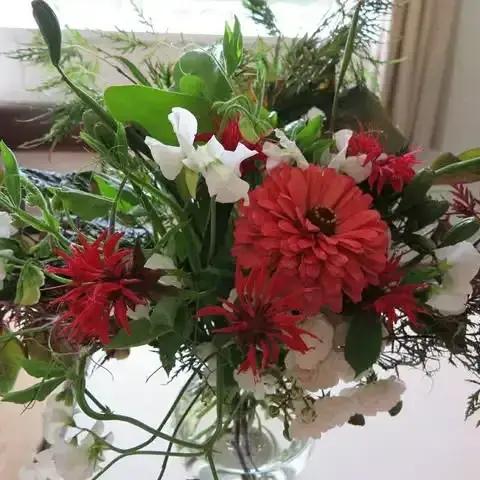 Mangakahia Gardening Club gallery image