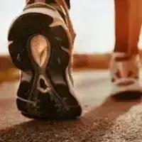 Tikipunga Walking Group gallery image