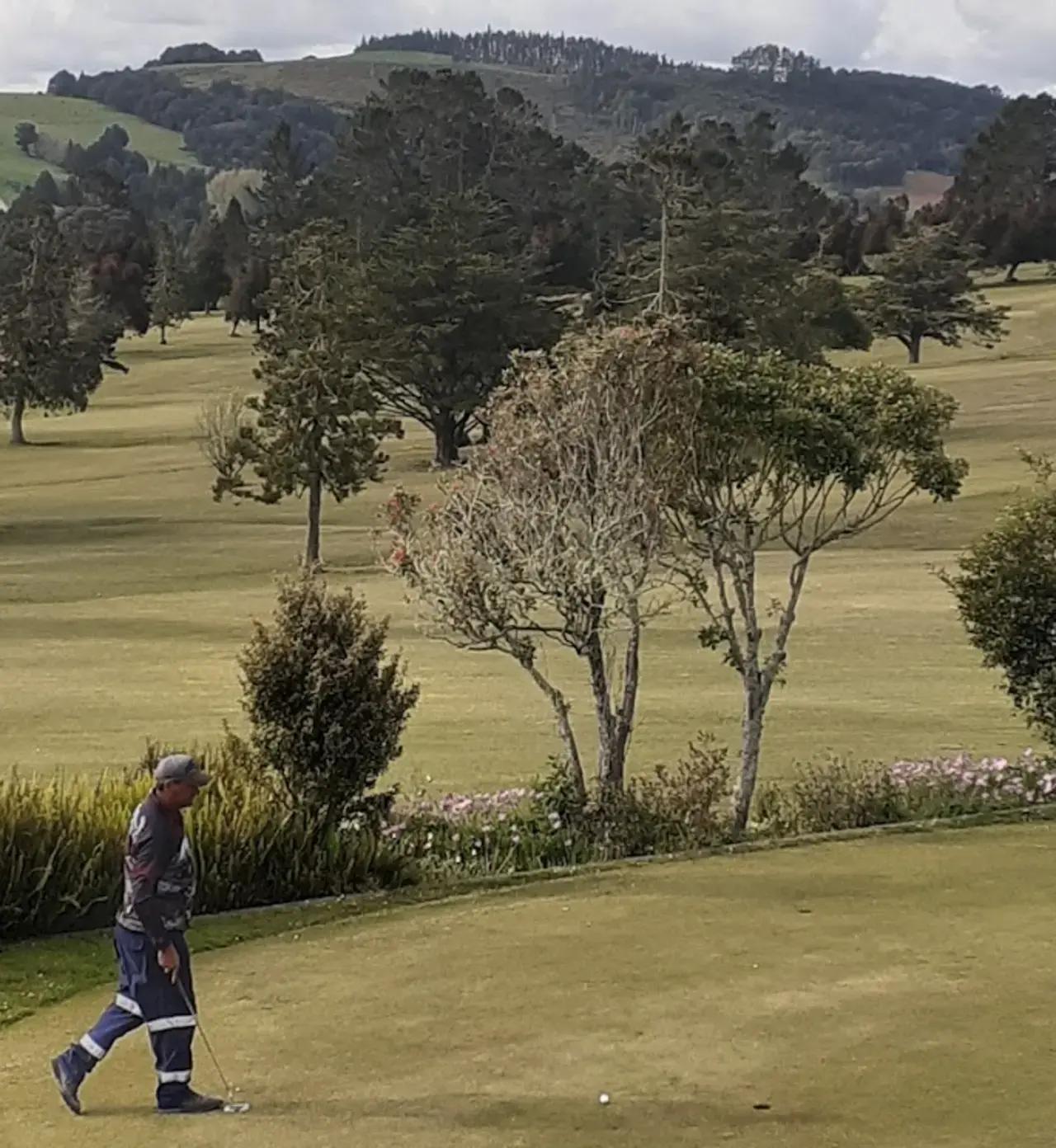 Kaikohe Golf Squash Club gallery image