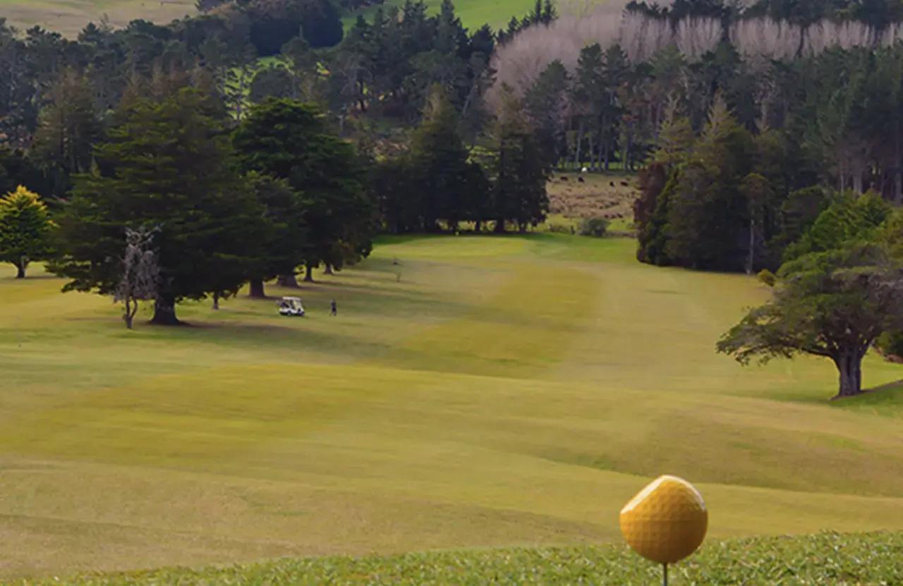 Wellsford Golf Club gallery image