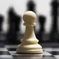 Whangarei Chess Club gallery image