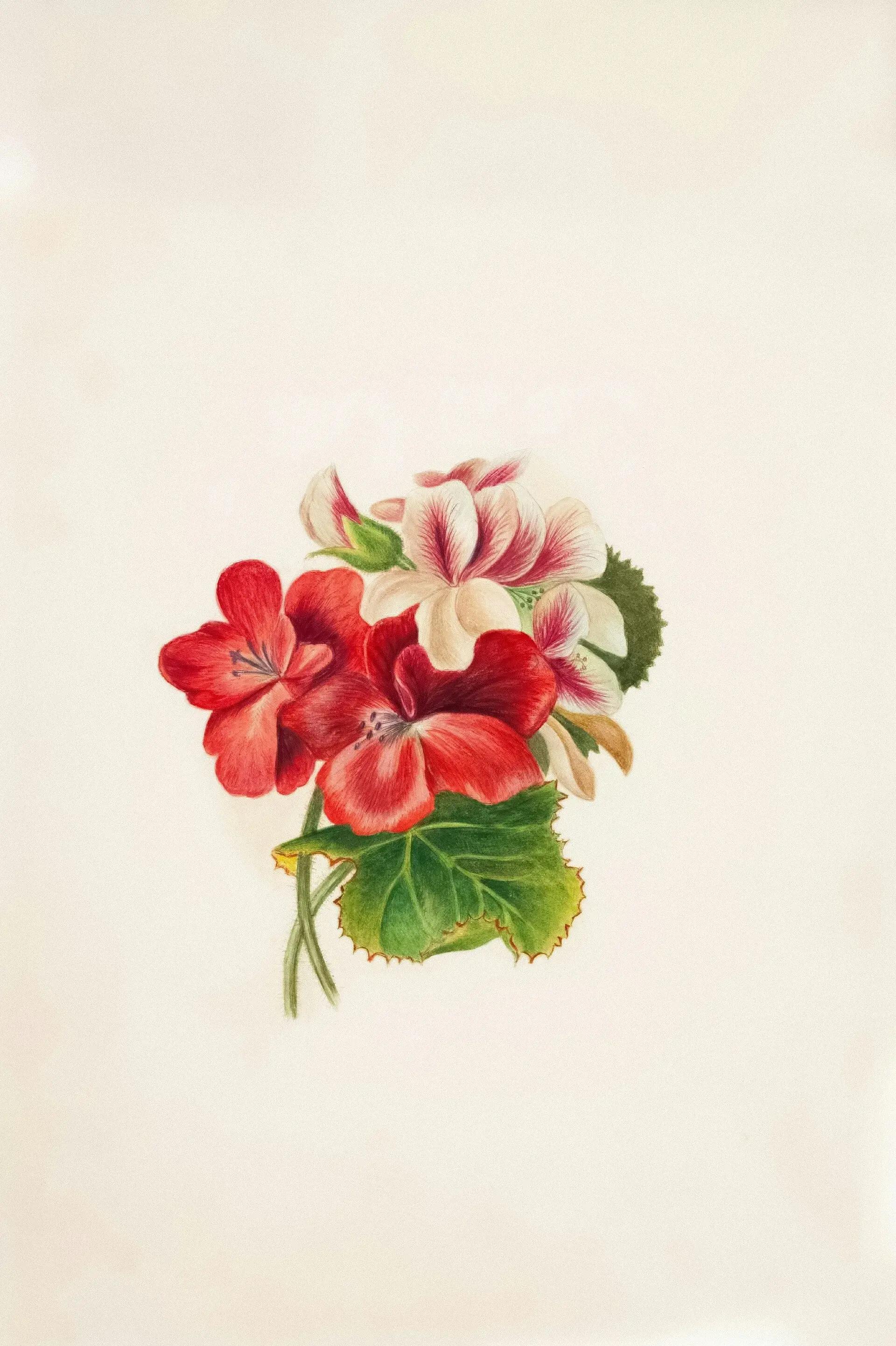 Floral Art club activity 4
