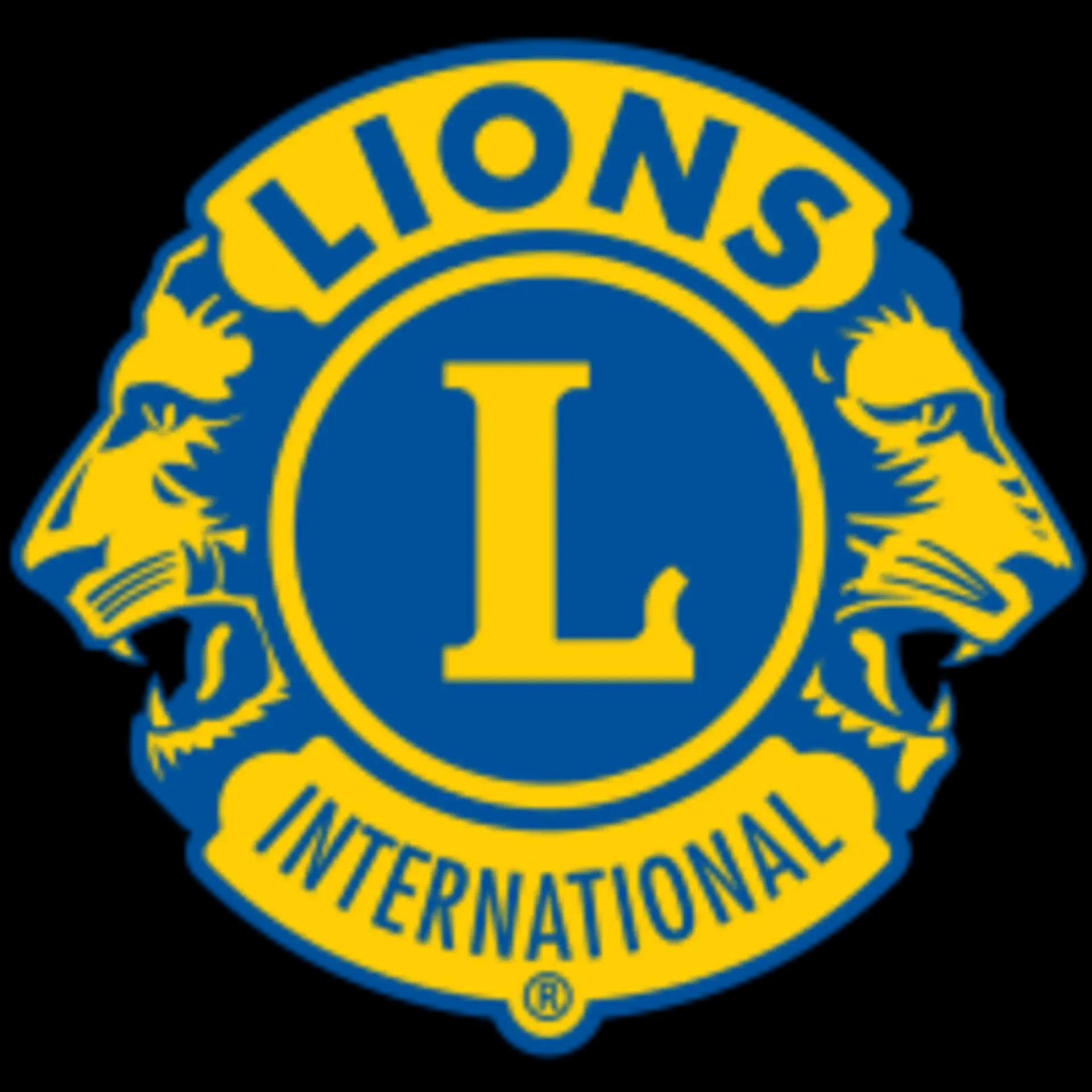 Lions club activity 4