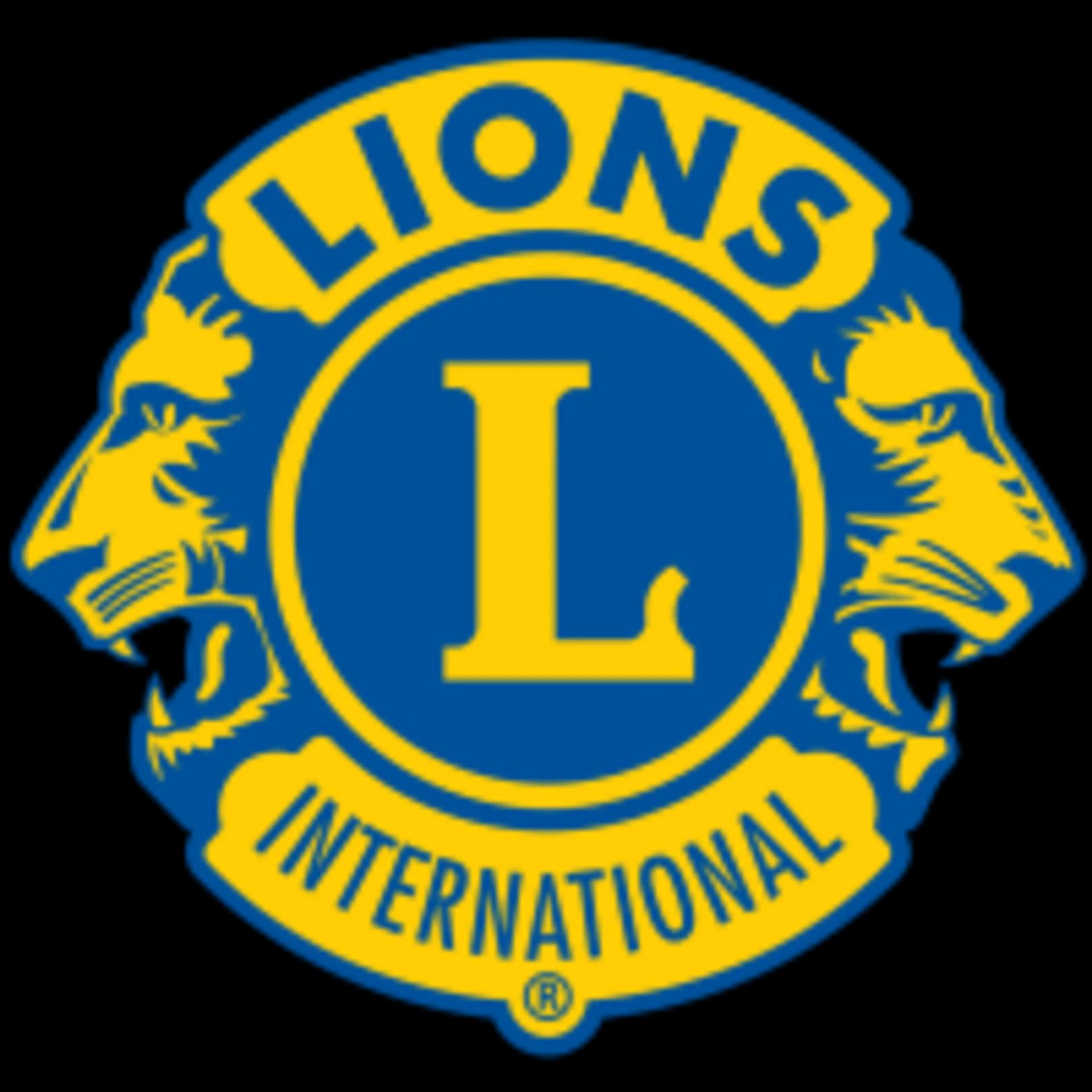 Lions club activity 4