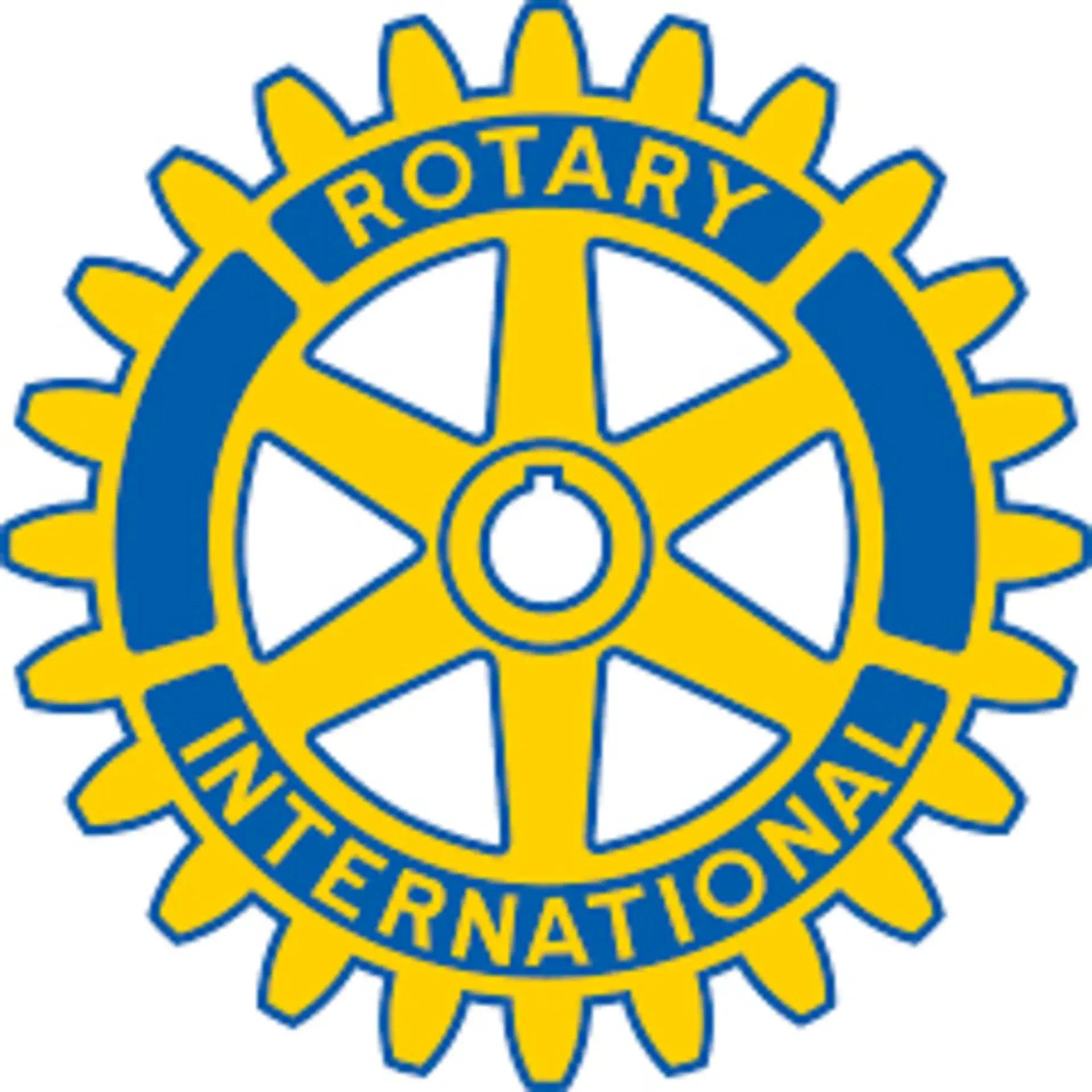 Rotary club activity 2