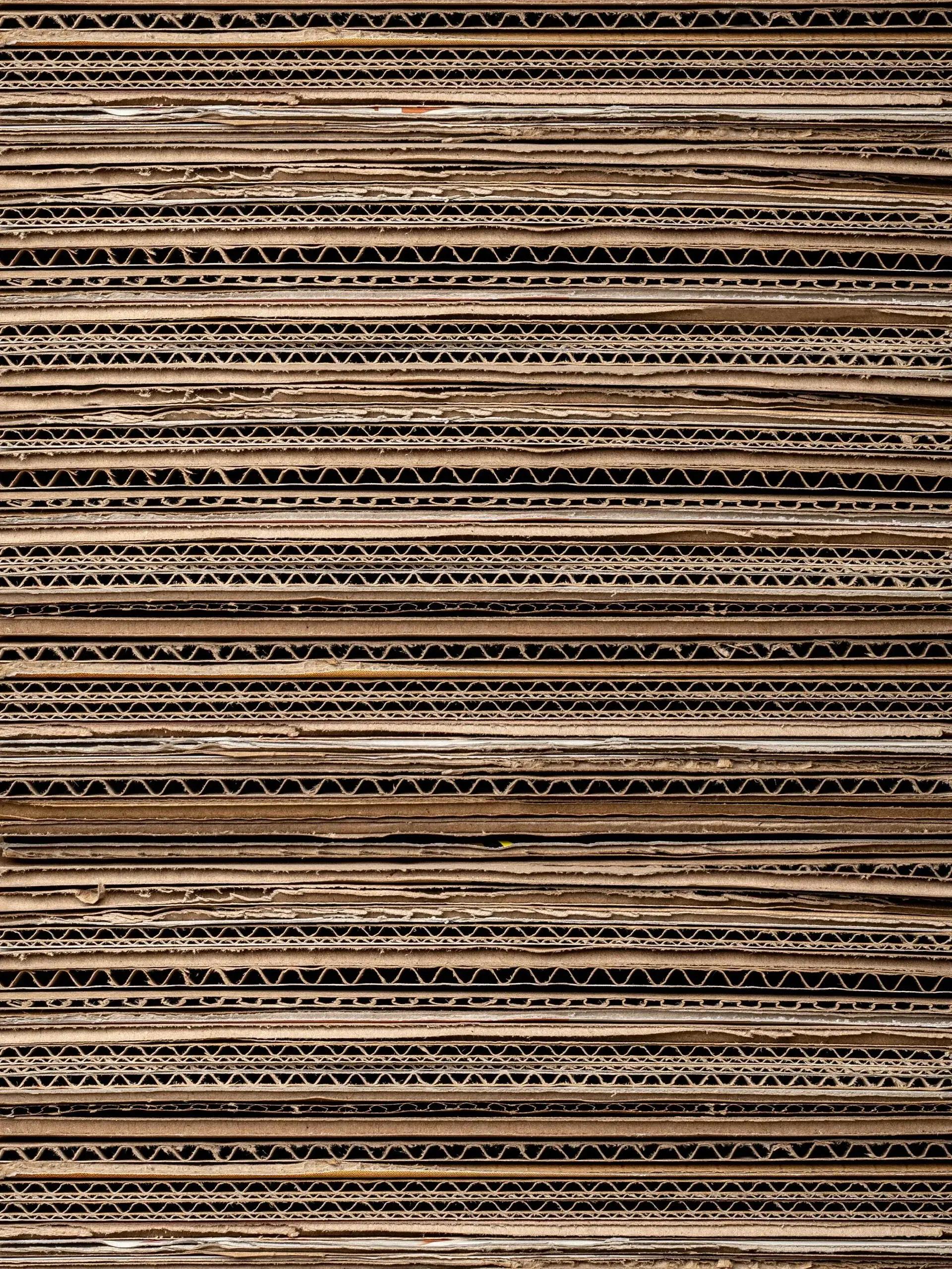 Recycling club activity 5