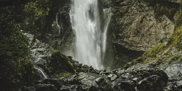 Taupo Tramping Club Weekly Walks Behind Police Station