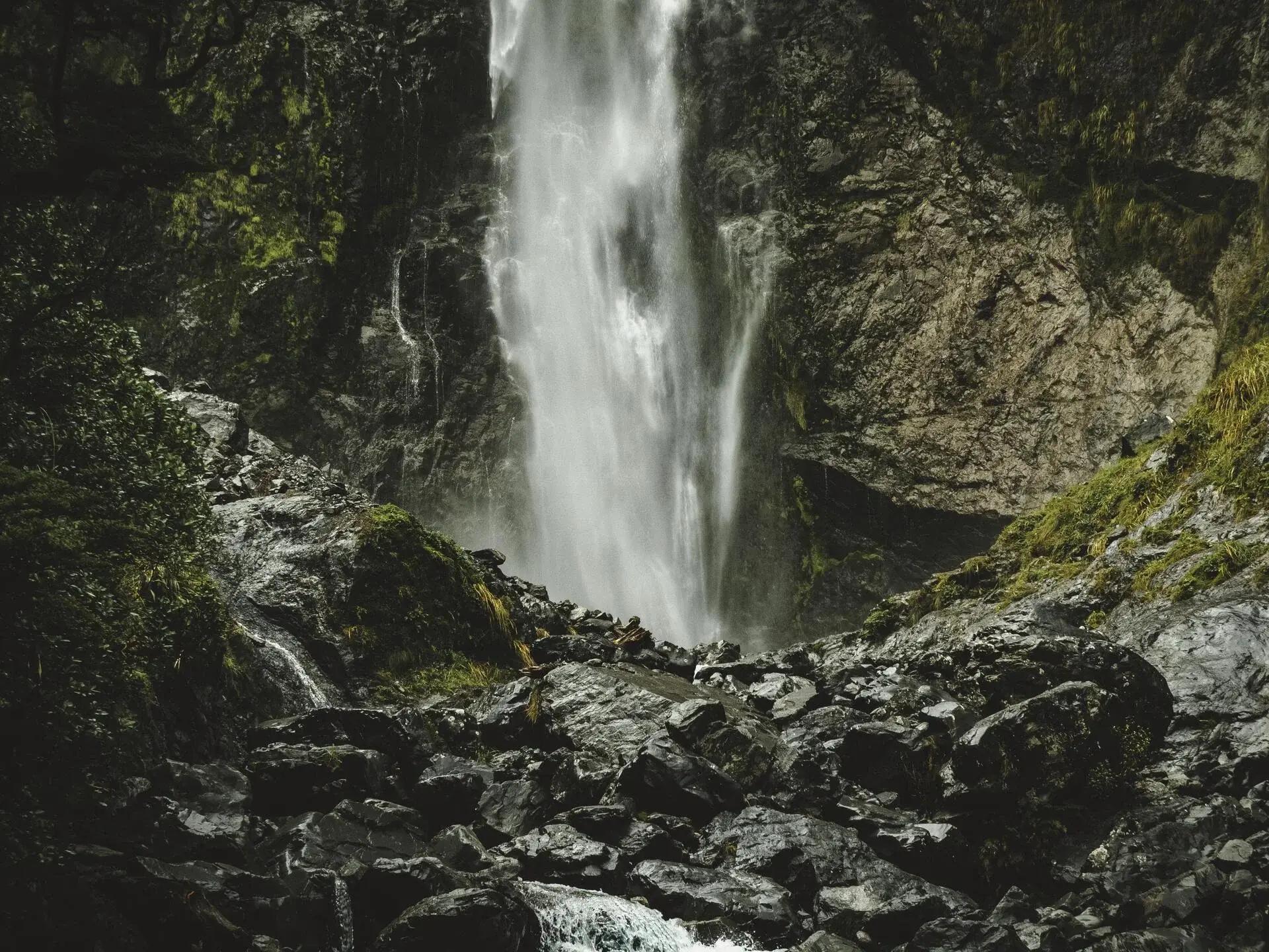 Tramping club activity 3