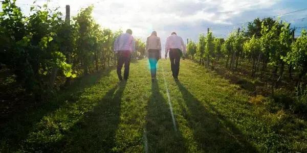 Join the Waihi Walking Group for their Weekly Walk, a nature-focused event starting at St John's Anglican Church