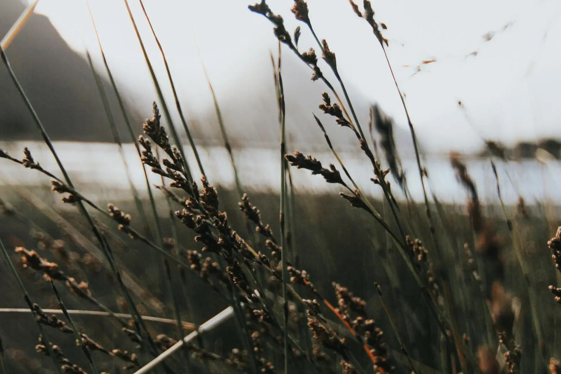 Wildlife club activity 3