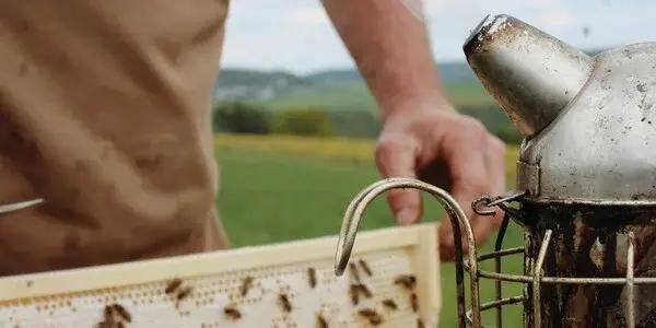 Second Sunday Monthly Beekeeping Meetings