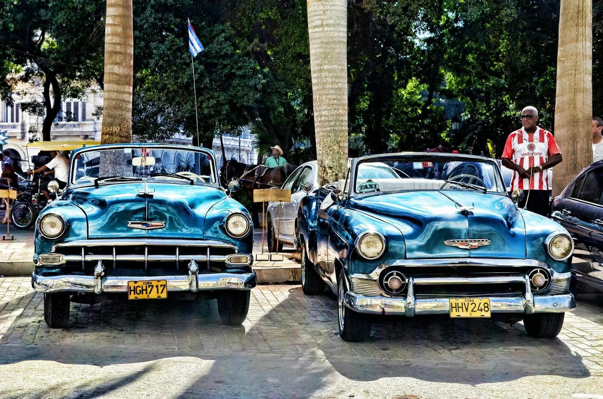 Cars club activity 2