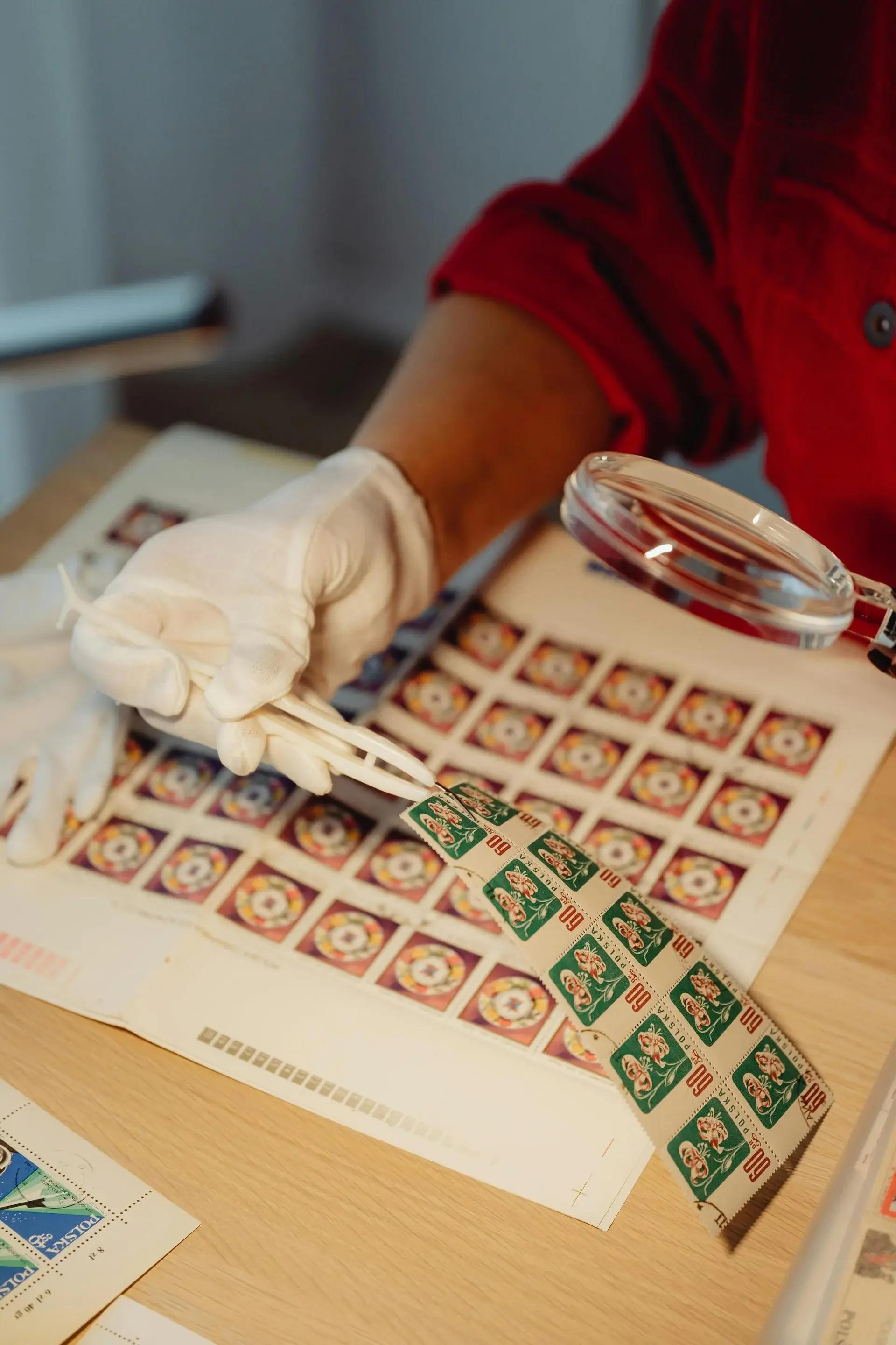 Collectors club activity 4