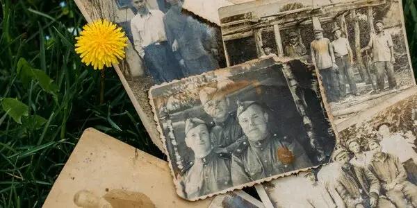 Trace Your Roots: Genealogy Meetup in Waihi